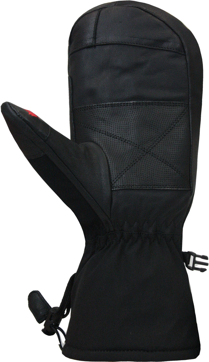 Auclair Verbier Valley Ski Mitt - Mens 2023
