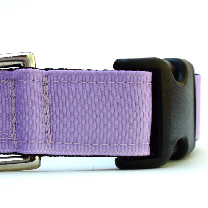 Loft Orchid Collar