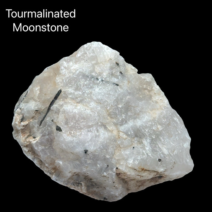 A Large moonstone specimen with black tourmaline threads creating striking contrast against luminous white stone on a Black back ground, front view.