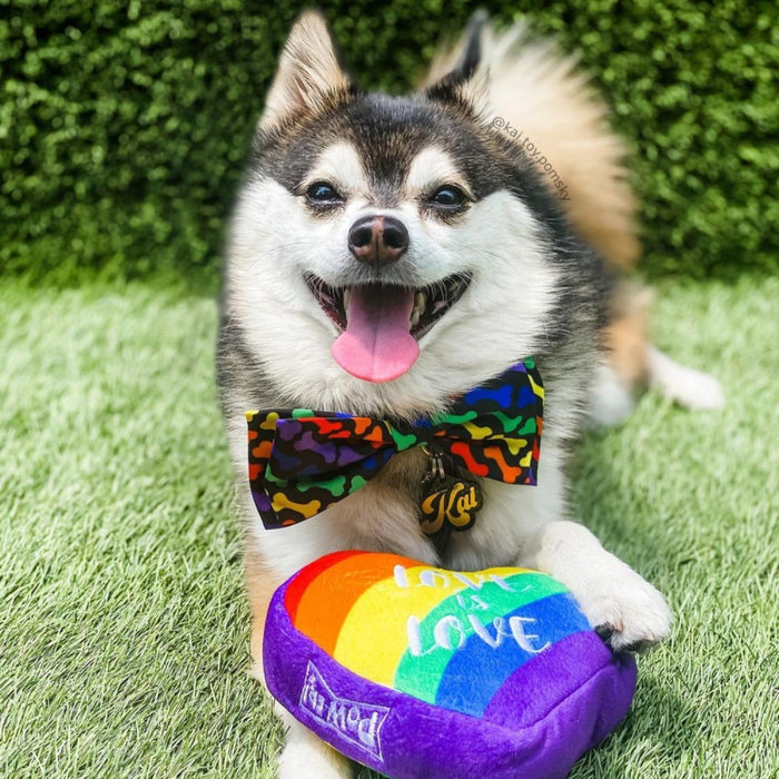 Unity Bow Tie