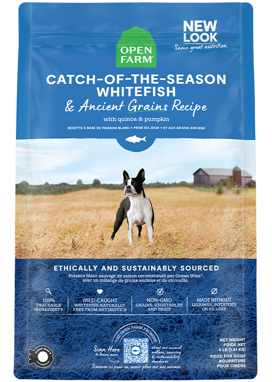 Ancient Grain Whitefish Dog Food