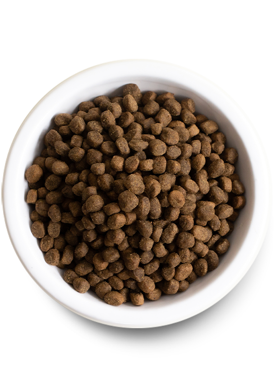 Ancient Grain Whitefish Dog Food