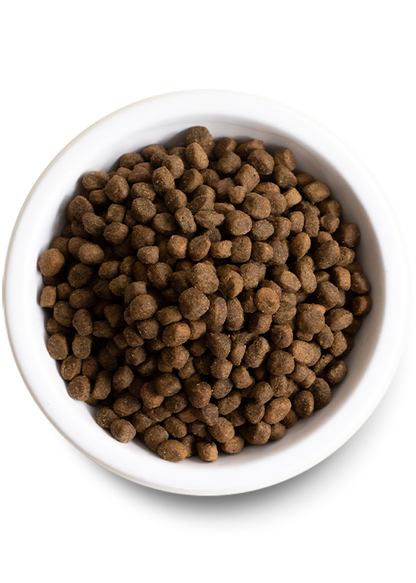 Ancient Grain Whitefish Dog Food