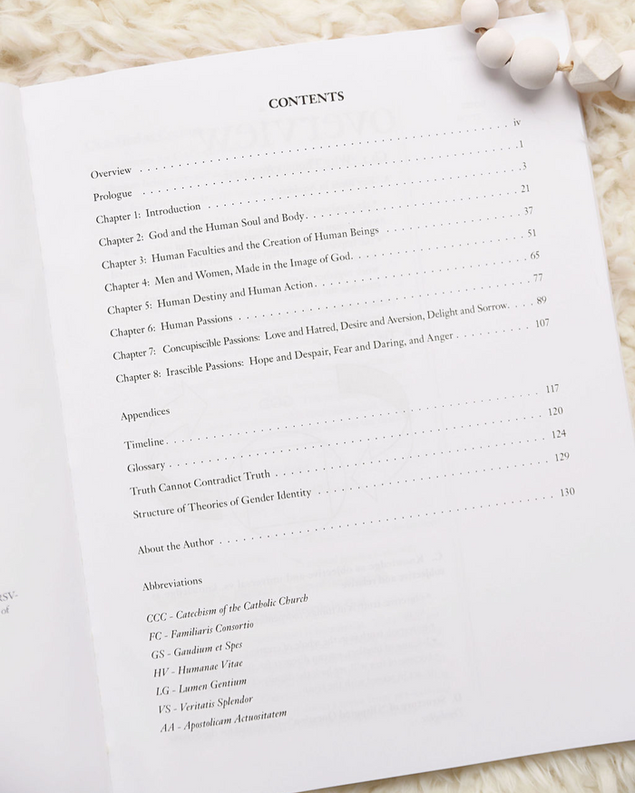 Aquinas for Beginners | Part I