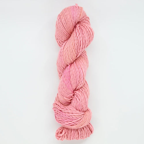 Barbie's Lost Slipper - Breezy DK