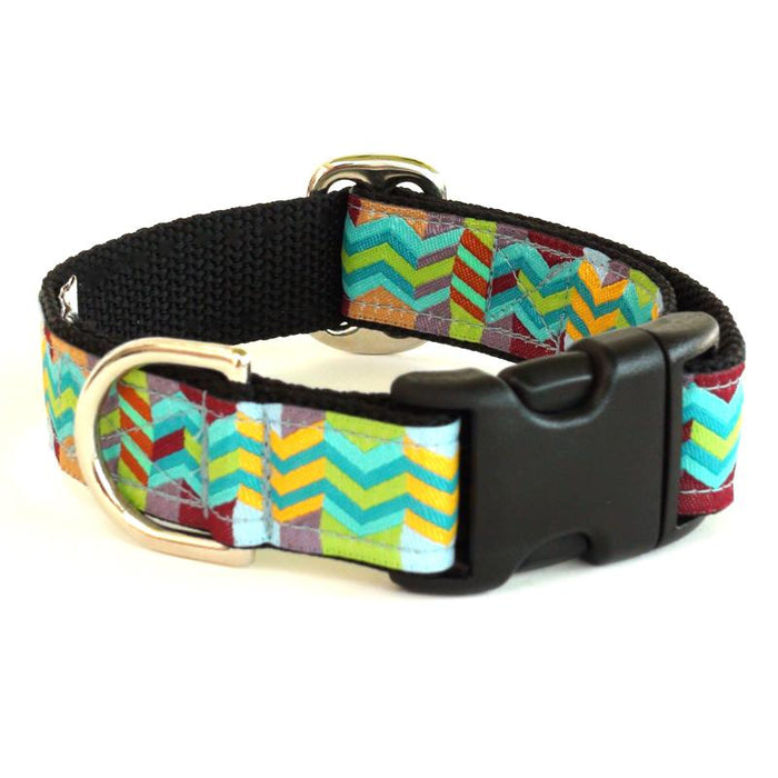 Blue Umbrella Collar