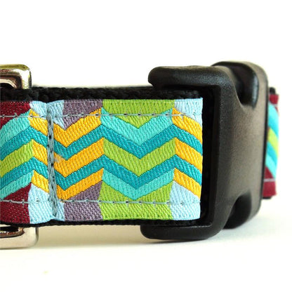 Blue Umbrella Collar