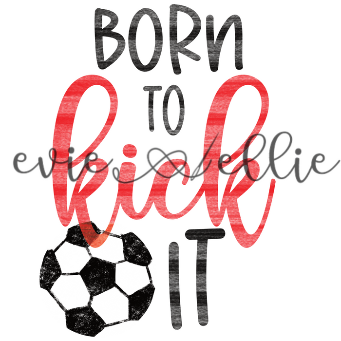Born to Kick It Sub