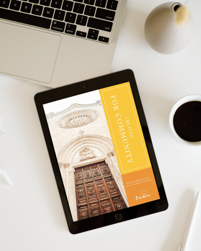 Created for Community I High School Book II eBook