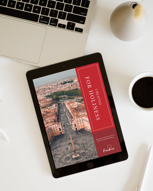 Created for Holiness I High School Book III eBook