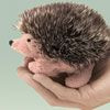 Folkmanis mini hedgehog