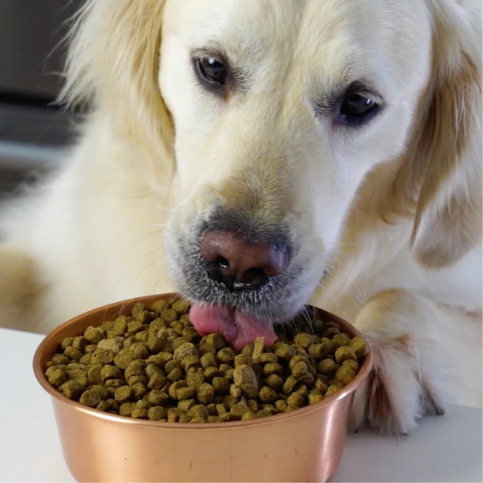 Grass-Fed Beef Grain Free Dog Food