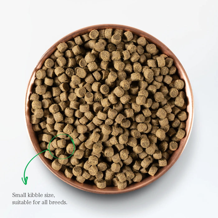 Grass-Fed Beef Grain Free Dog Food