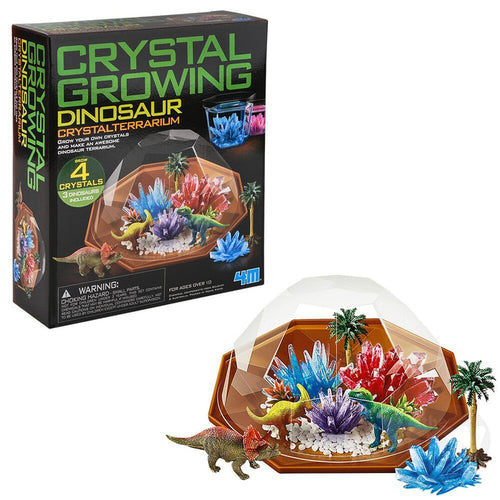 Growing Dinosaur Terrarium