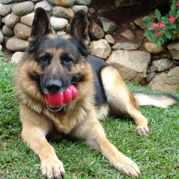 Kong Classic-Red