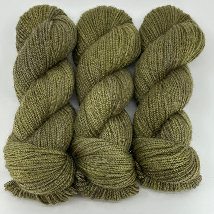 Lichen - Caldera DK