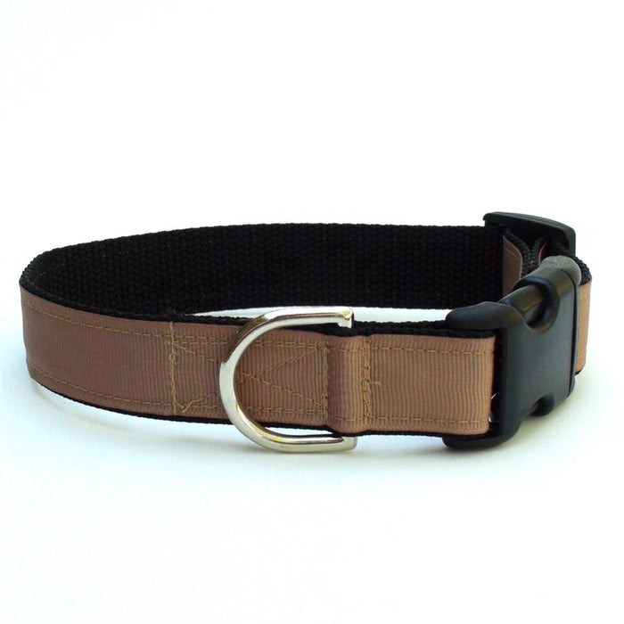 Loft Fossil Collar