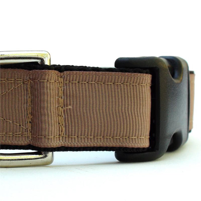 Loft Fossil Collar