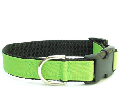 Loft Jasmine Collar