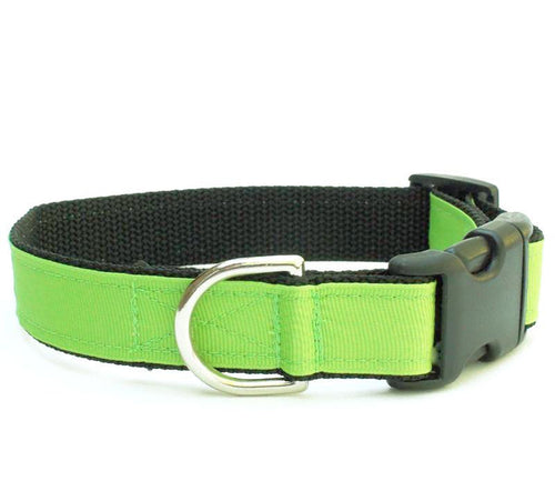 Loft Jasmine Collar