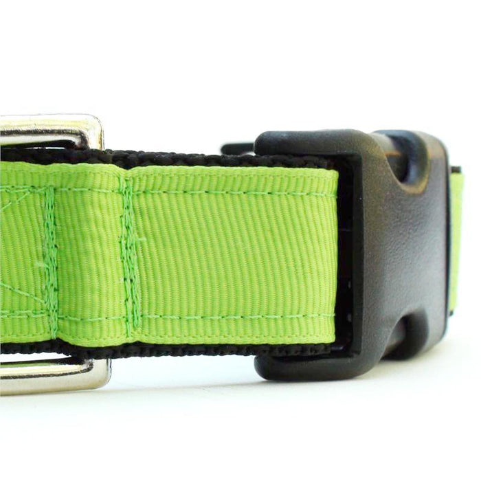 Loft Jasmine Collar