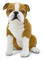 Plush English Bulldog