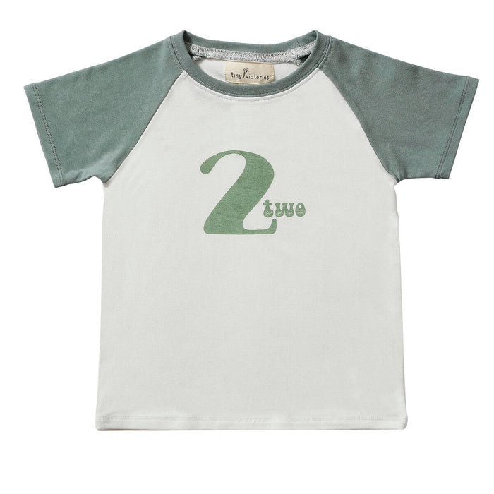 Retro Birthday Shirts