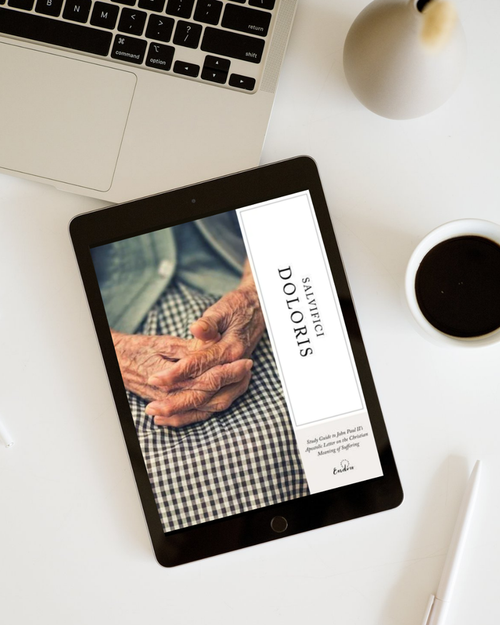 Salvifici Doloris | On the Christian Meaning of Suffering eBook