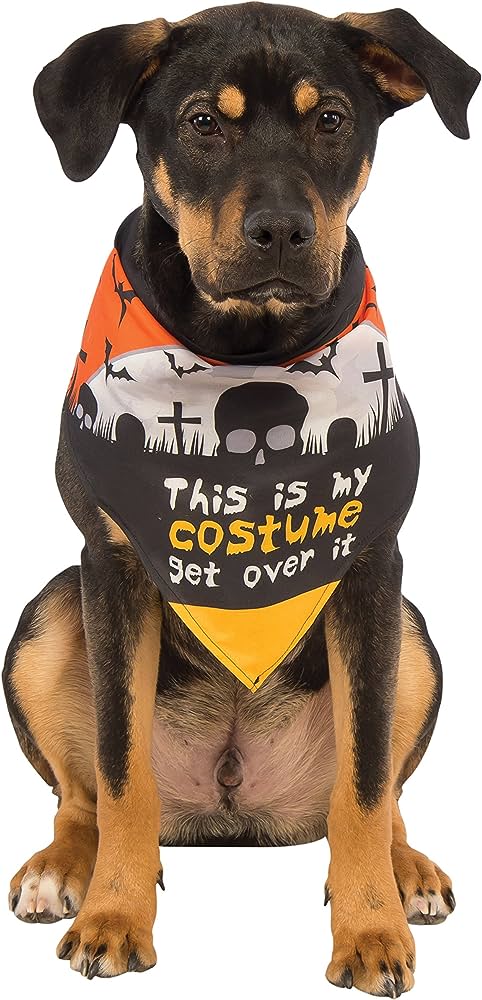 This Is My Costume Bandana