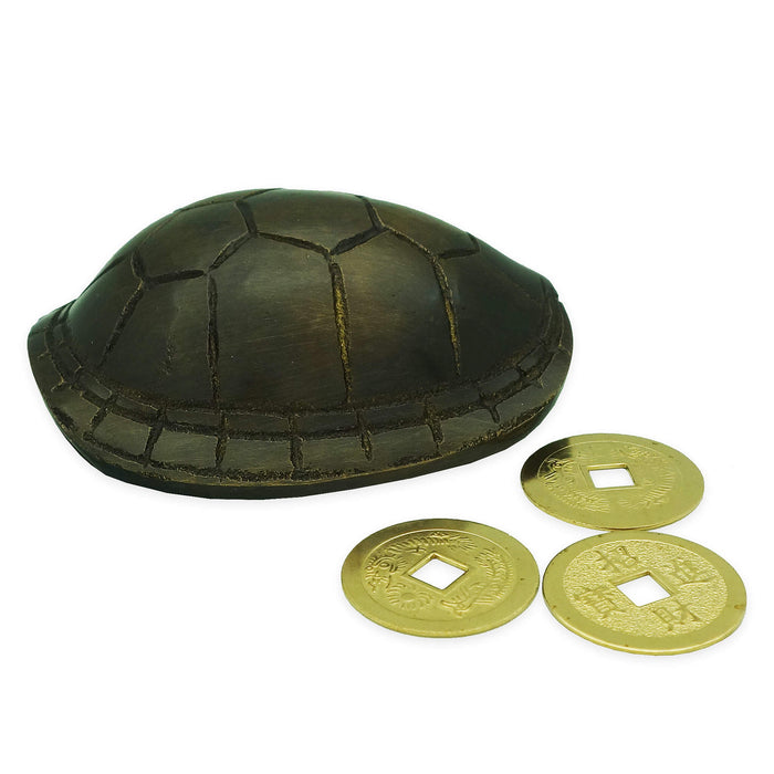 Tortoise Shell