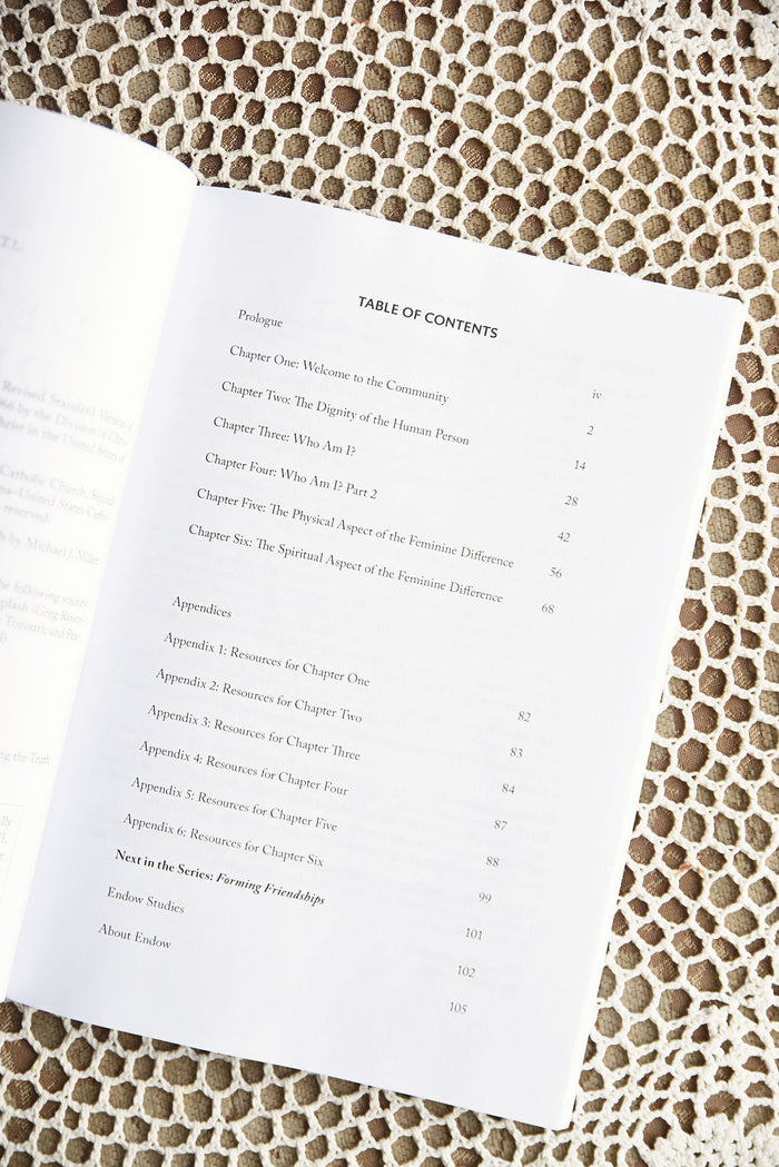 True Genius Series Book 1: Defining Dignity