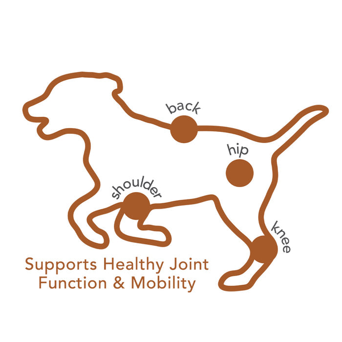 Vet's Best Advanced Hip & Joint Chews