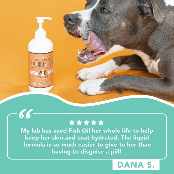 Wild Alaskan Salmon Oil w/pump-16oz