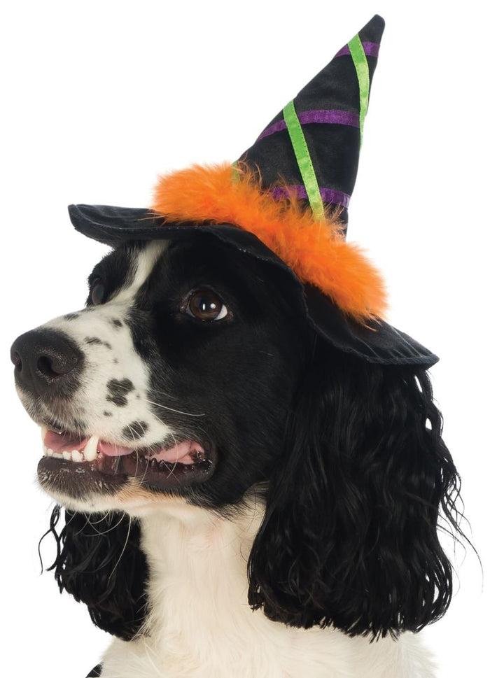 Witch Hat with Trim