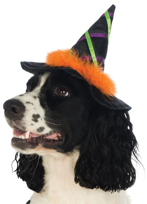 Witch Hat with Trim
