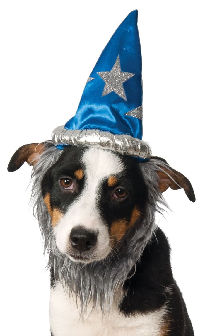 Wizard Hat with Beard Set